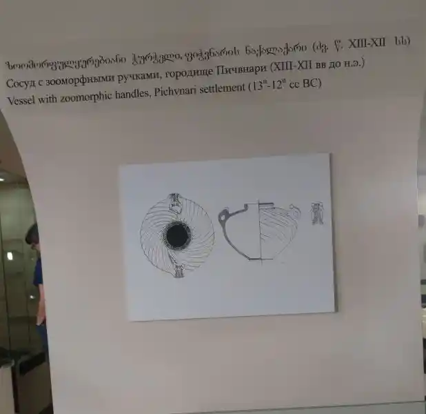 Illustration, vessel with zoomorphic handles, Pichvnari